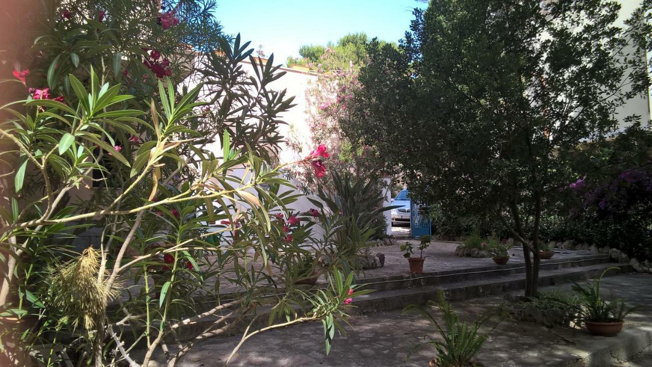 B&B Villa Il Carrubo San Vito Lo Capo Ngoại thất bức ảnh